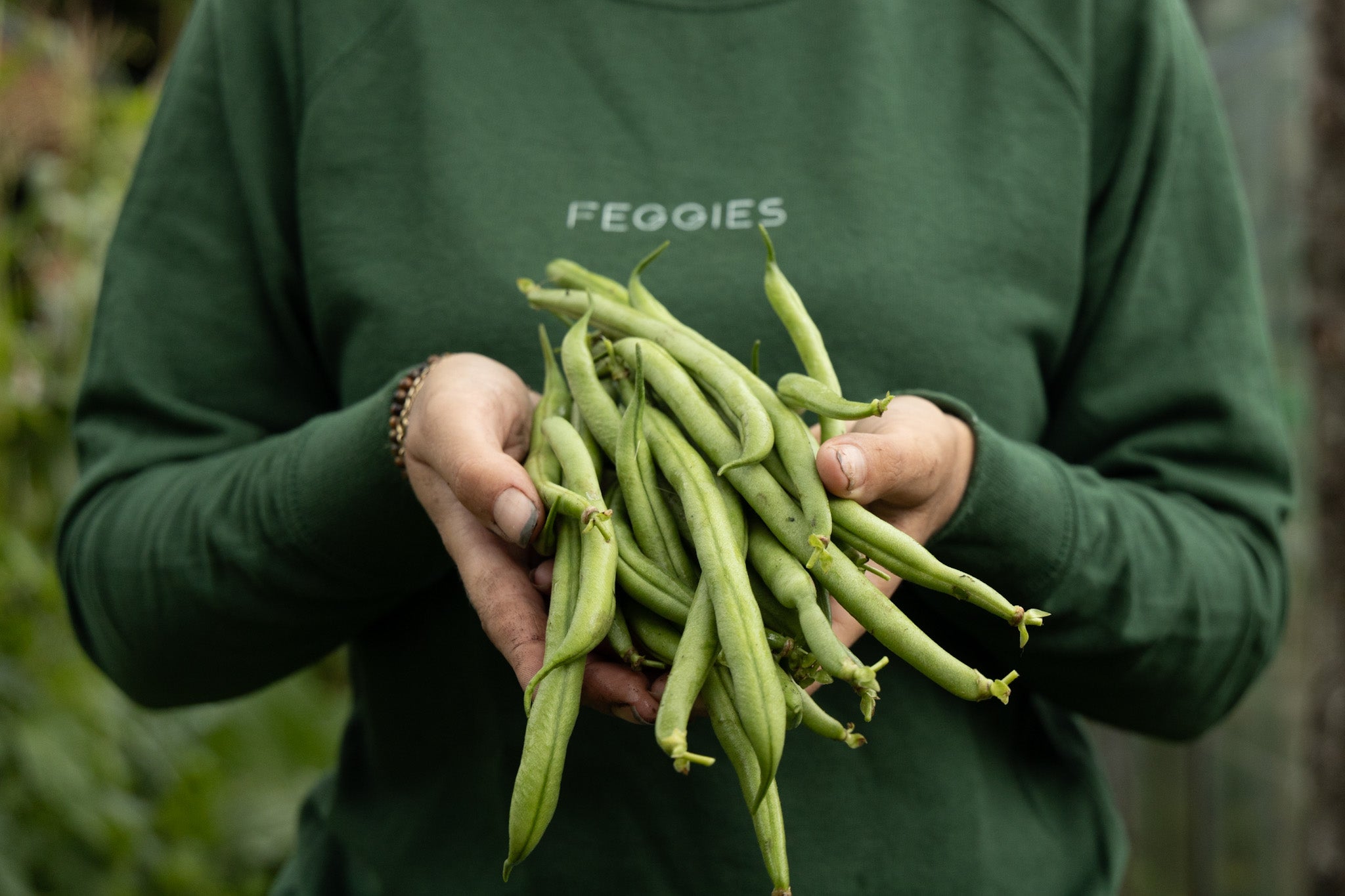 Alle soorten bonen op een rij
