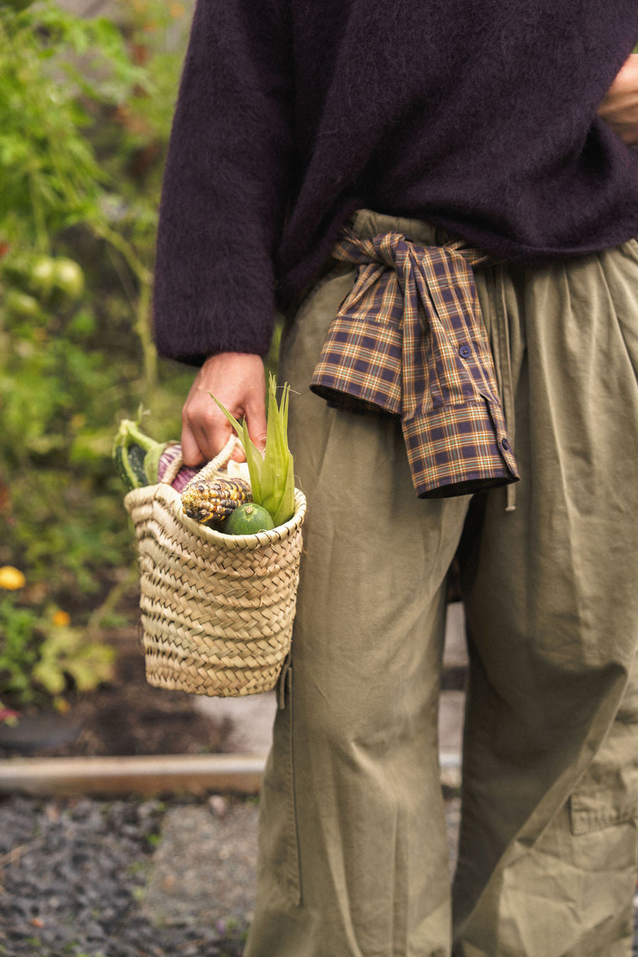 Bonen combineren in de moestuin: de beste plantvrienden (companion planting)