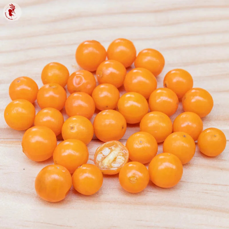 Aubergine Noon Ta Klong Erbse Bio