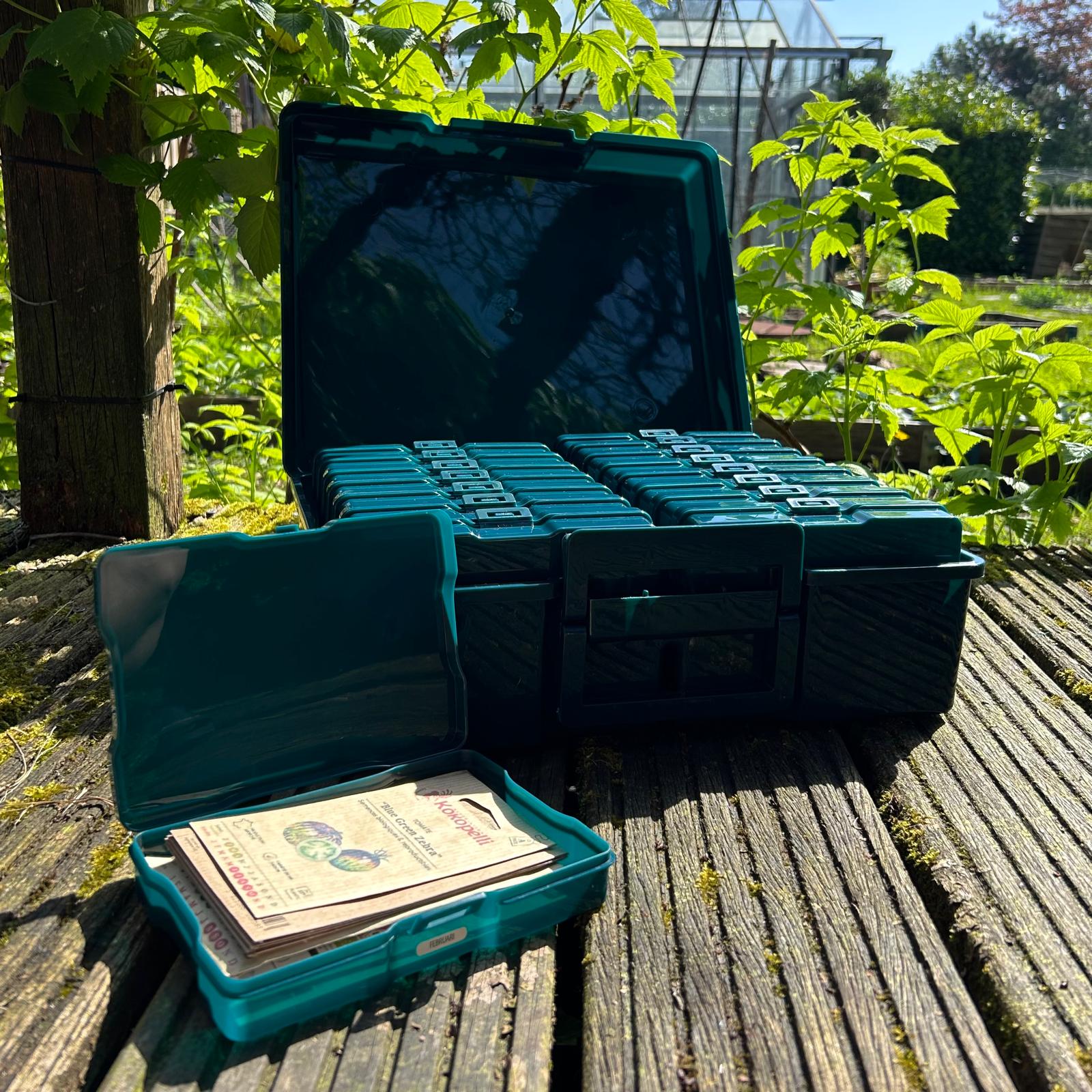 Feggies Original Samen-Aufbewahrungsbox