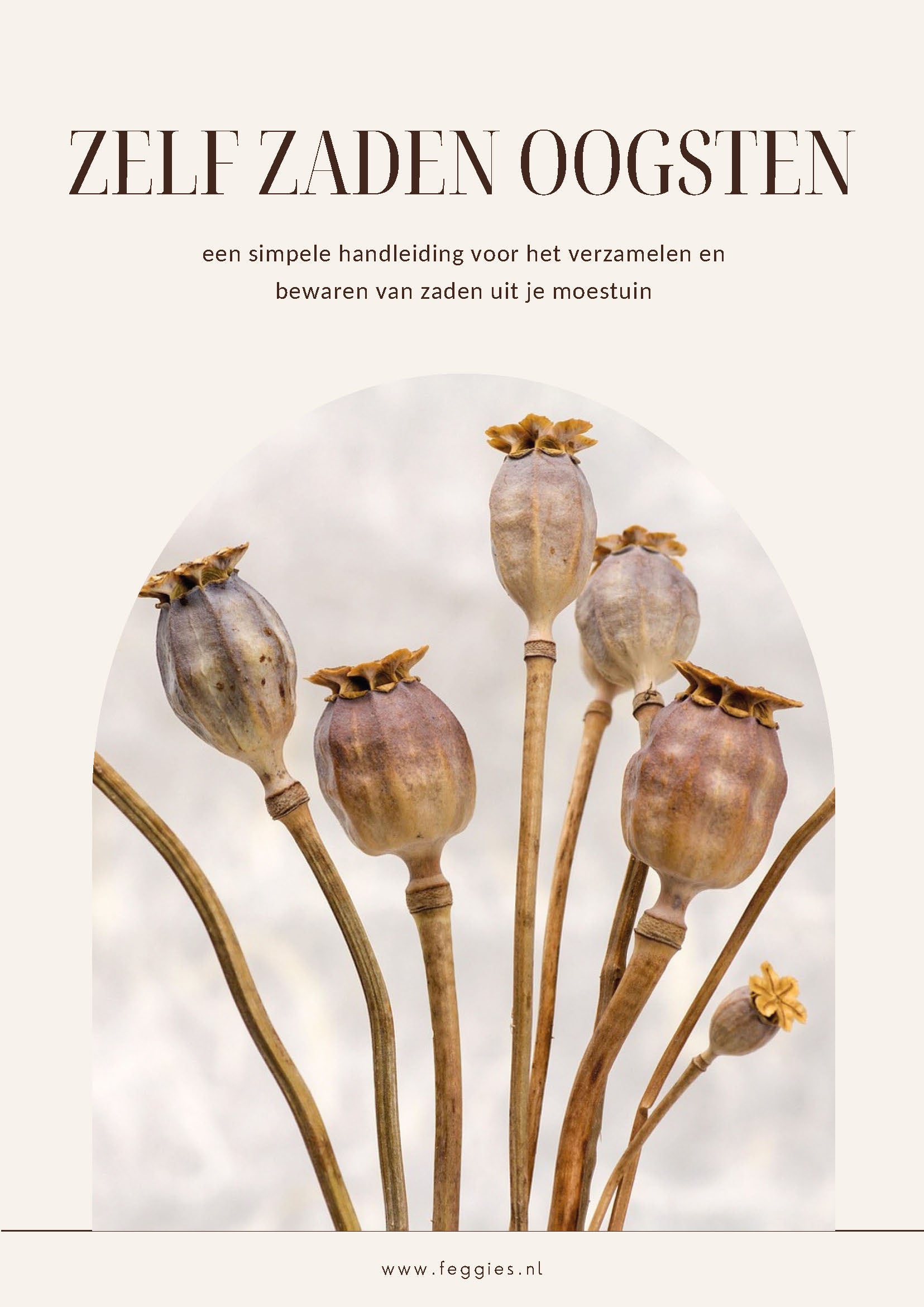 Feggies E-book - Zelf zaden oogsten