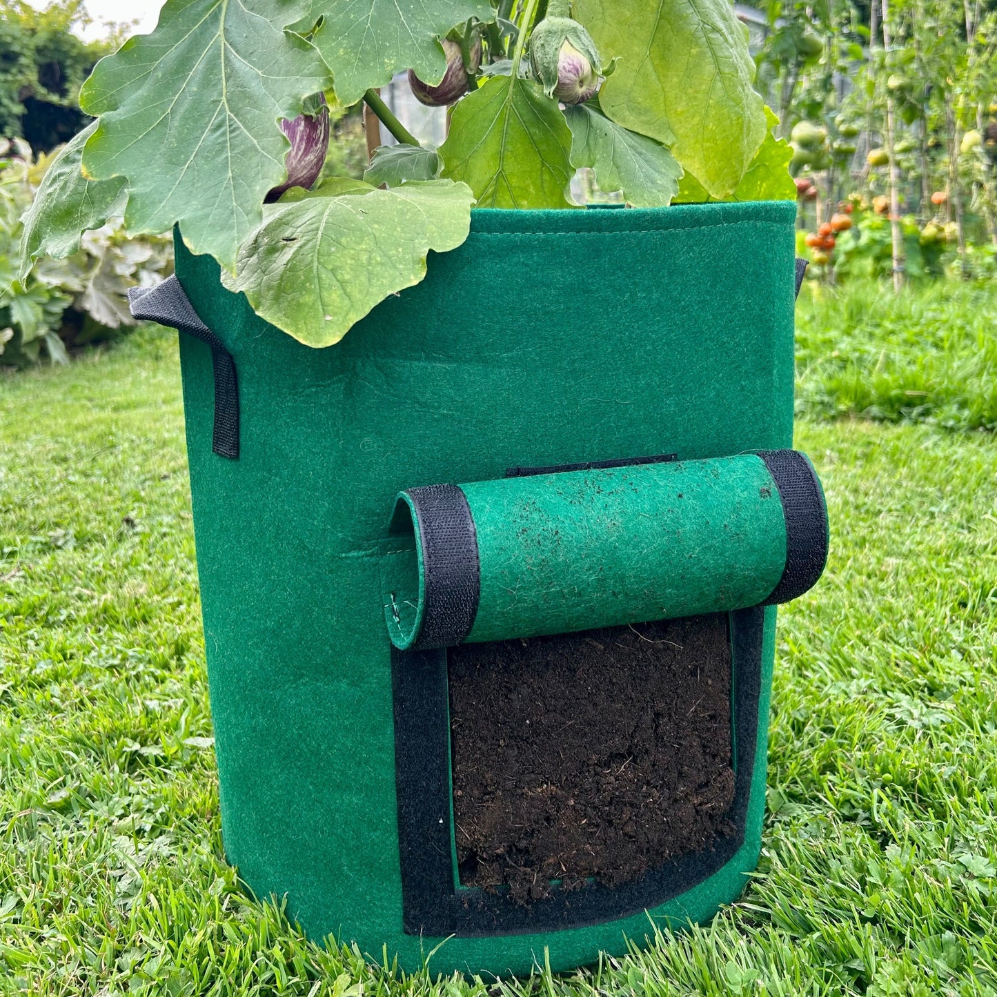 Feggies Grow Bags || 37 liter