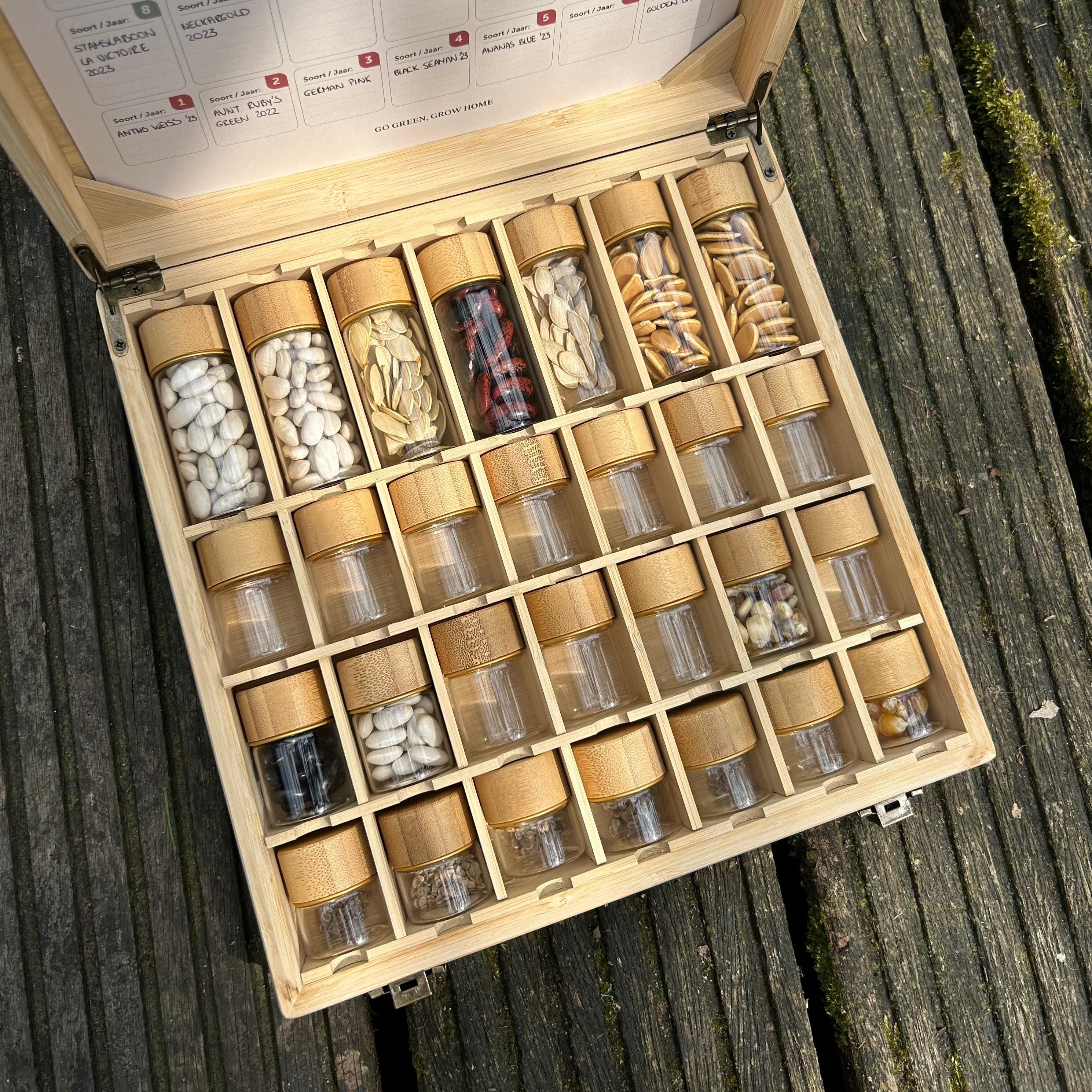 Feggies Samen-Aufbewahrungsbox PRO