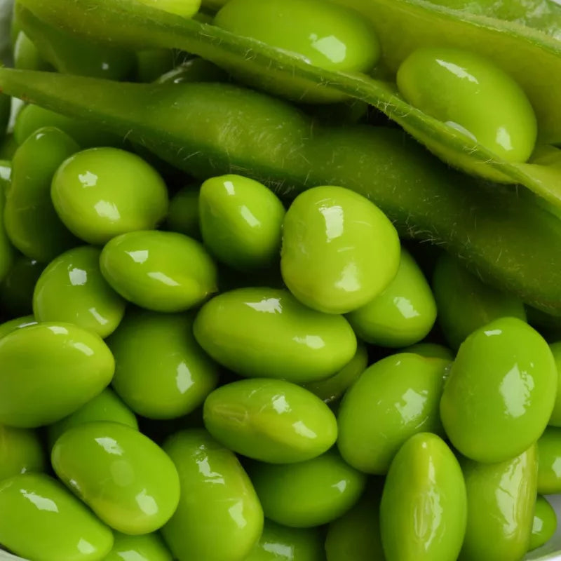 Sojabohnen / Edamame 'Chiba Green' (Glycine max)  Bio-Saatgut