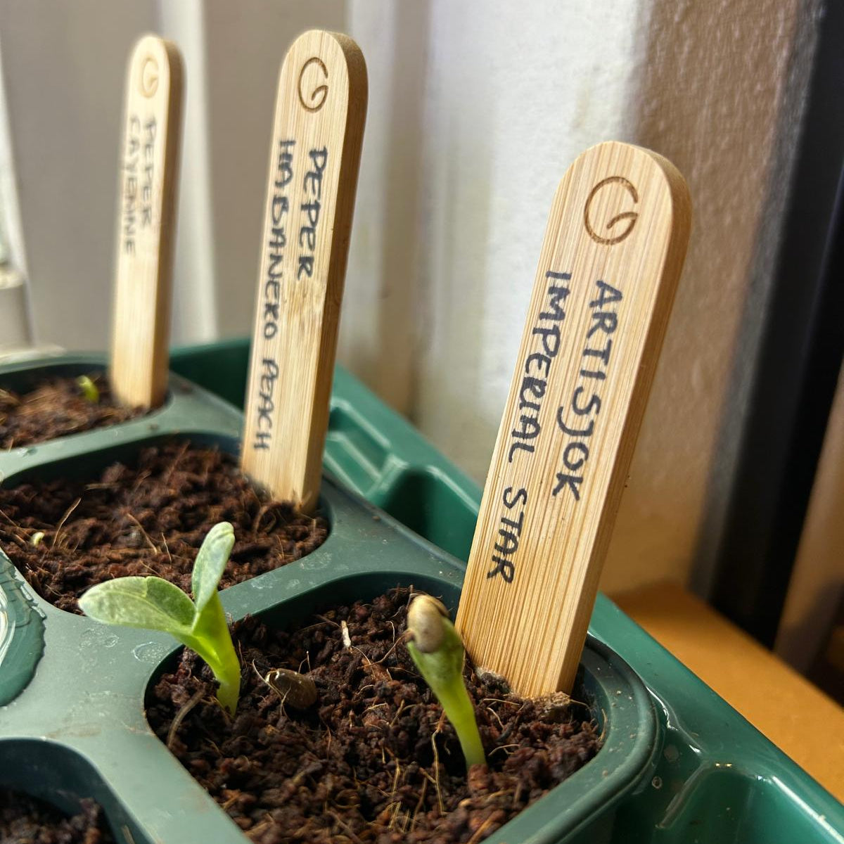 Feggies Bambusstich-Etiketten