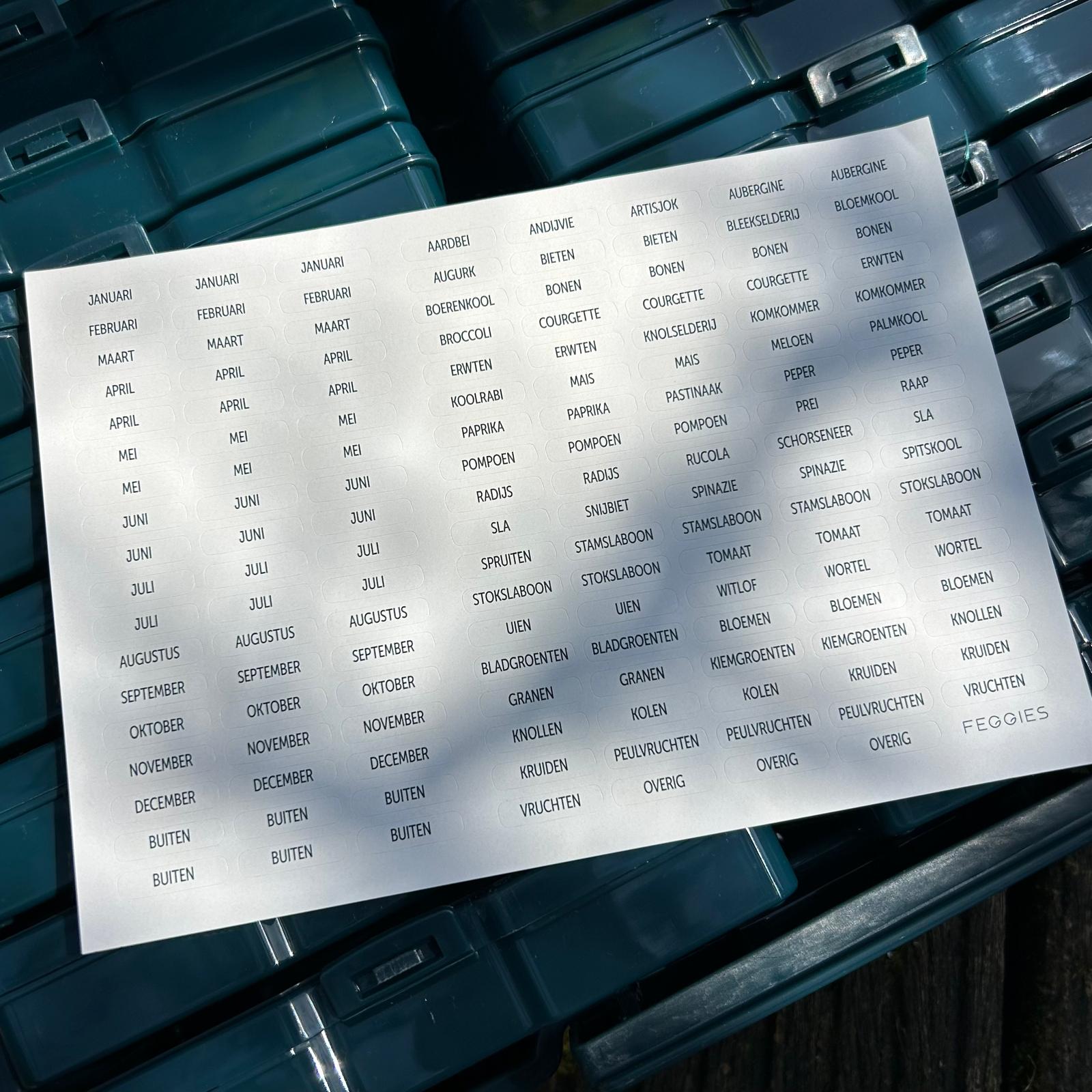 Feggies Original Samen-Aufbewahrungsbox