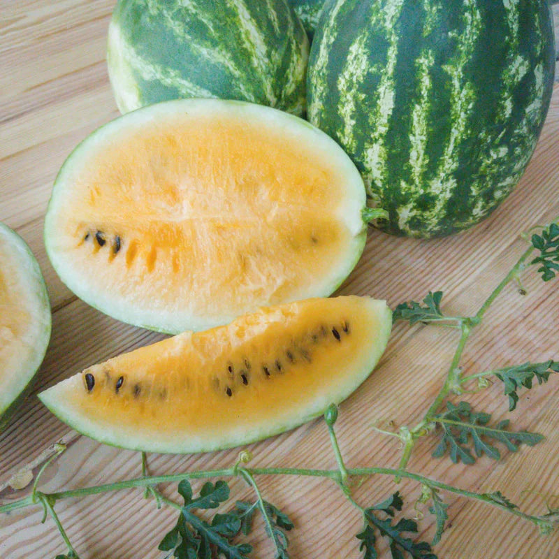 Wassermelone Sweet Yellow Mountain Bio