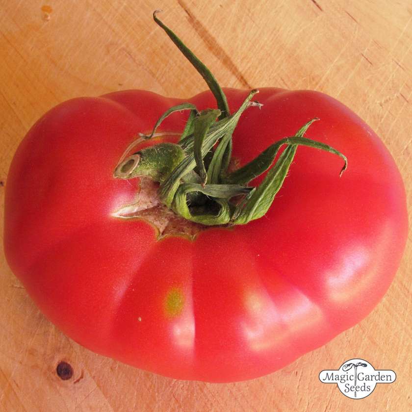 Tomatensamen Rose de Berne Bio