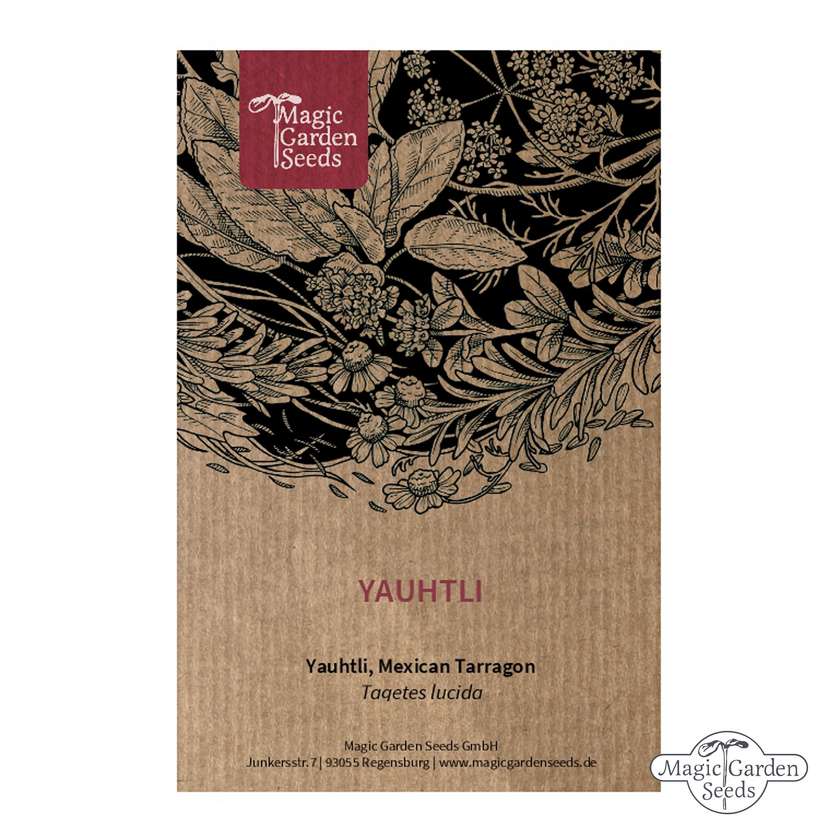 Tagetes Lucida (mexikanische Estragon) Samen Bio