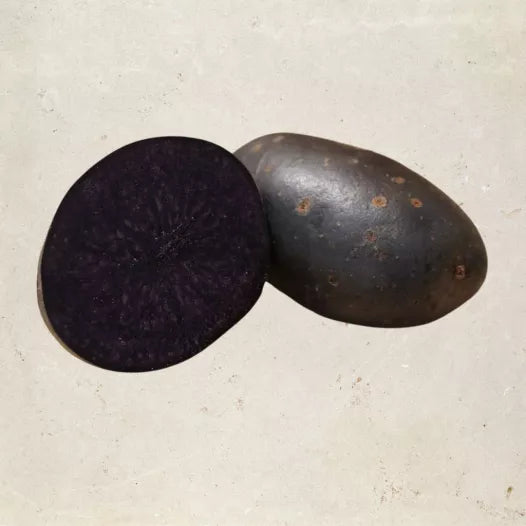 Kartoffeltrüffel 1 kg Bio (Lagervariante)