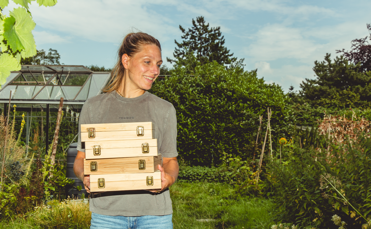 Gärtner mit einem Stapel Samenboxen aus Bambus im Gemüsegarten, im Hintergrund ein Gewächshaus