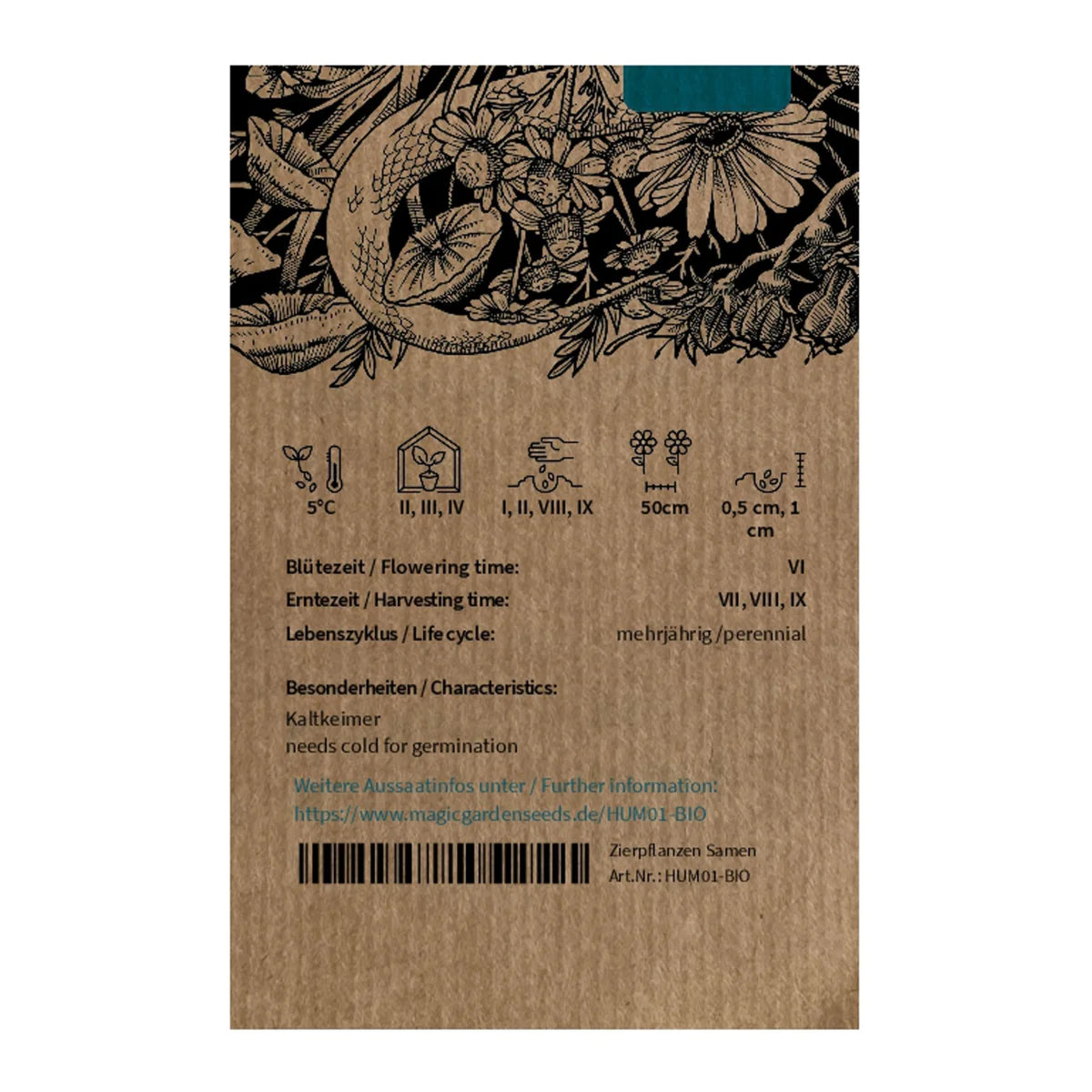 Samen des Roten Sonnenhuts 'Echinacea purpurea' aus biologischem Anbau