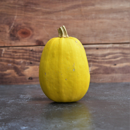 Kürbis-Spaghetti-Samen Bio