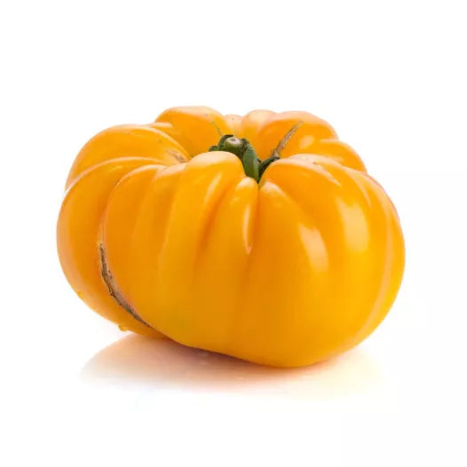 Tomatensamen Pamplemousse du Grand-Père