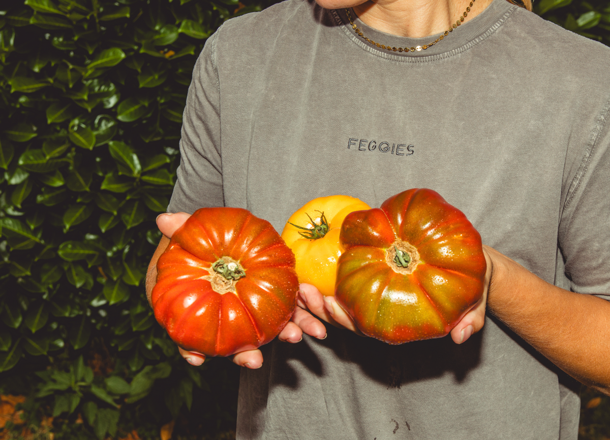 Frau mit selbst gezogenen Tomaten