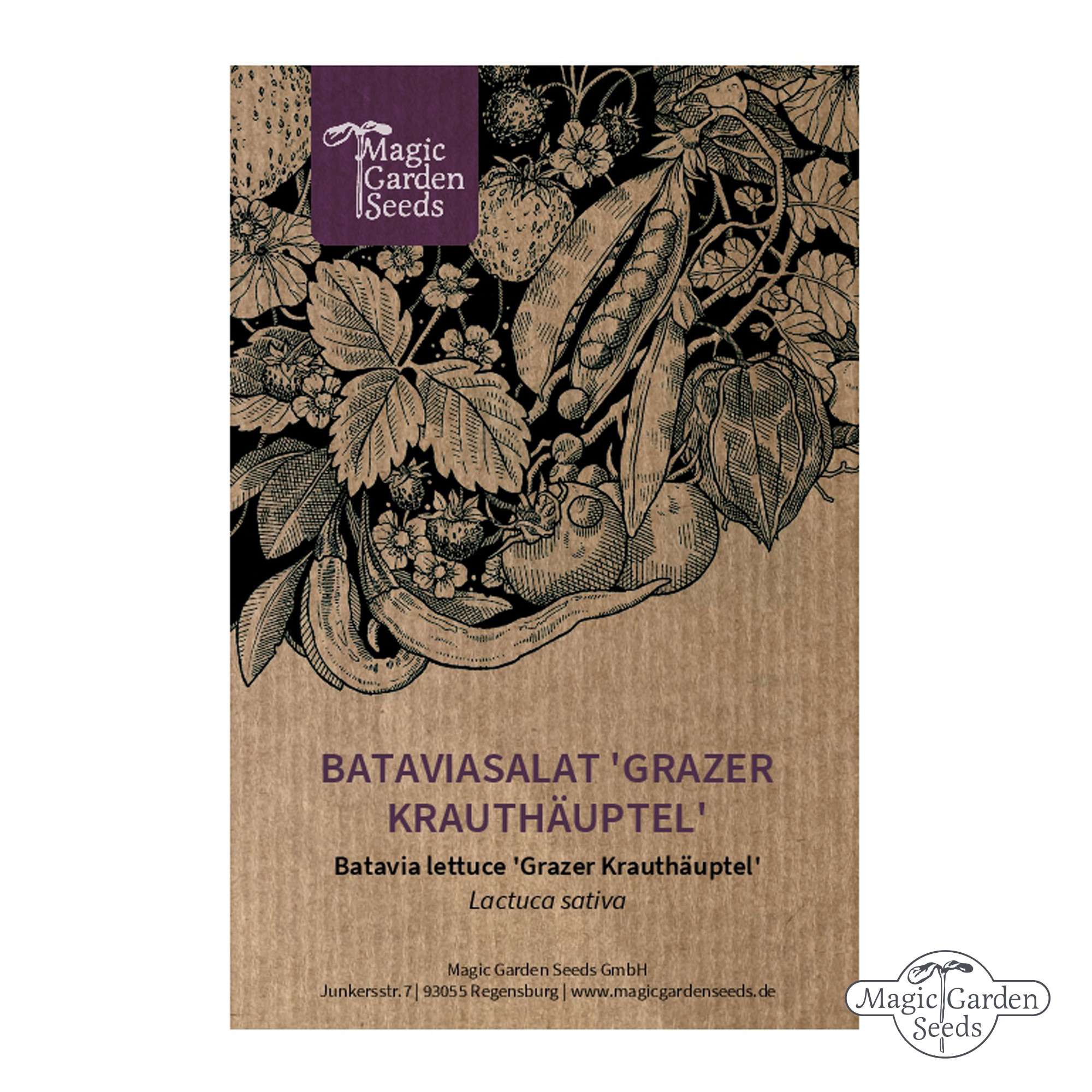 Eisbergsalat 'Grazer Krauthäuptel' Samen Bio