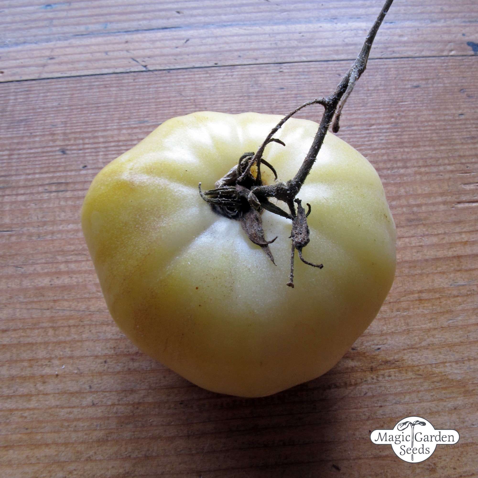 Fleischtomate White Beauty Samen Bio