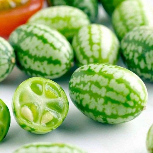 Cocktailgurken-/Mäusemelonensamen Bio