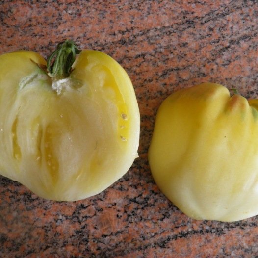 Tomatensamen Coeur de Boeuf Blanche