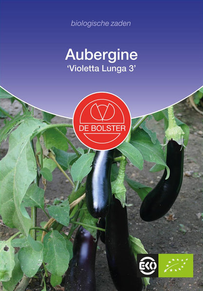 Aubergine Aubergine 'Violetta Lunga 3 Bio