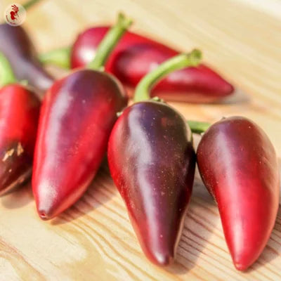 Hete Peper Black Hungarian Biologisch - Feggies