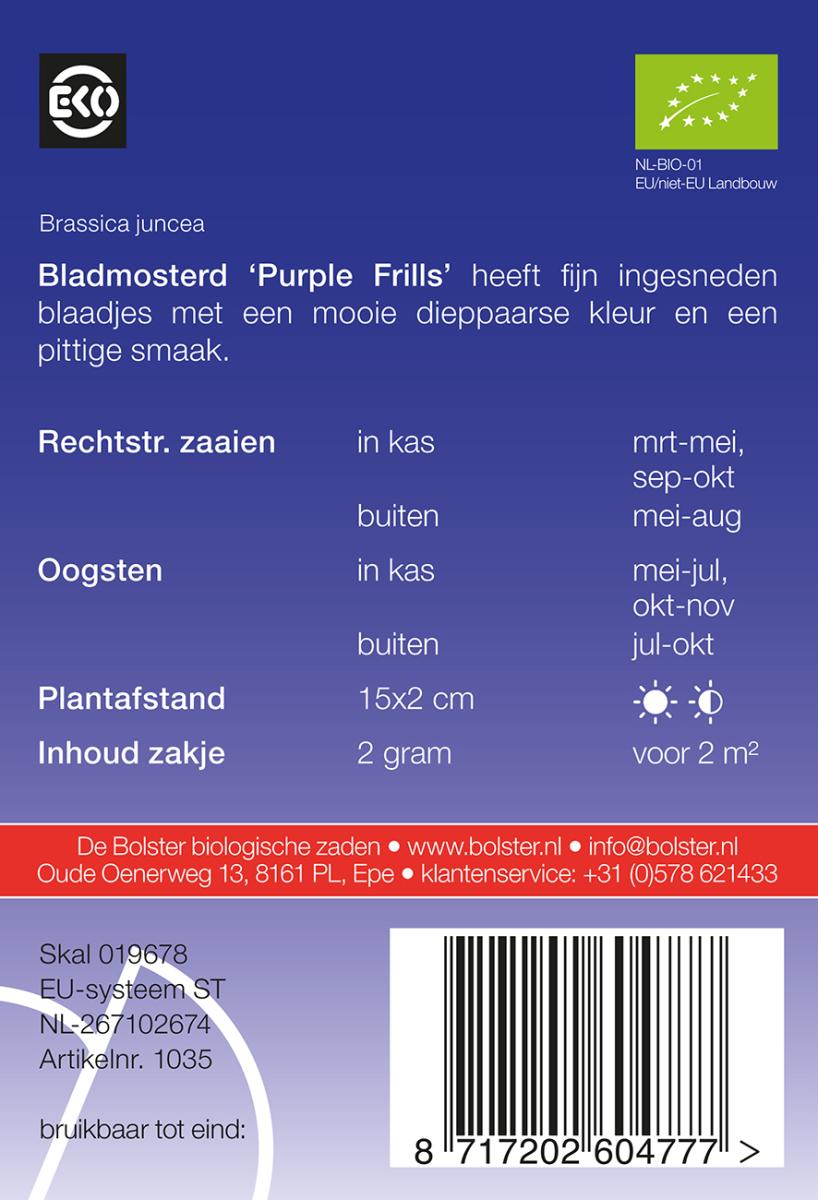 Bladmosterd ‘Purple Frills’  Biologisch