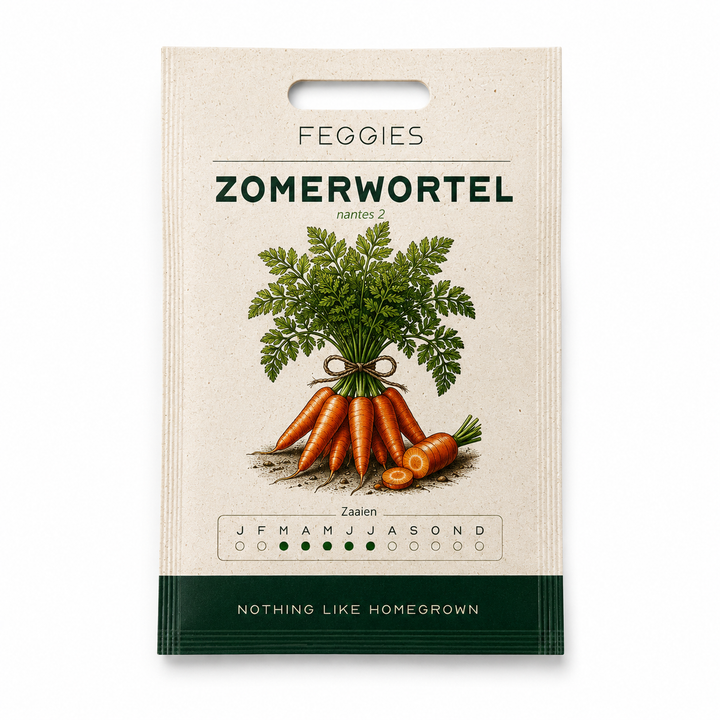 Sommerkarotte Nantes 2 – Bio-Gemüsesamen (süß und gerade)
