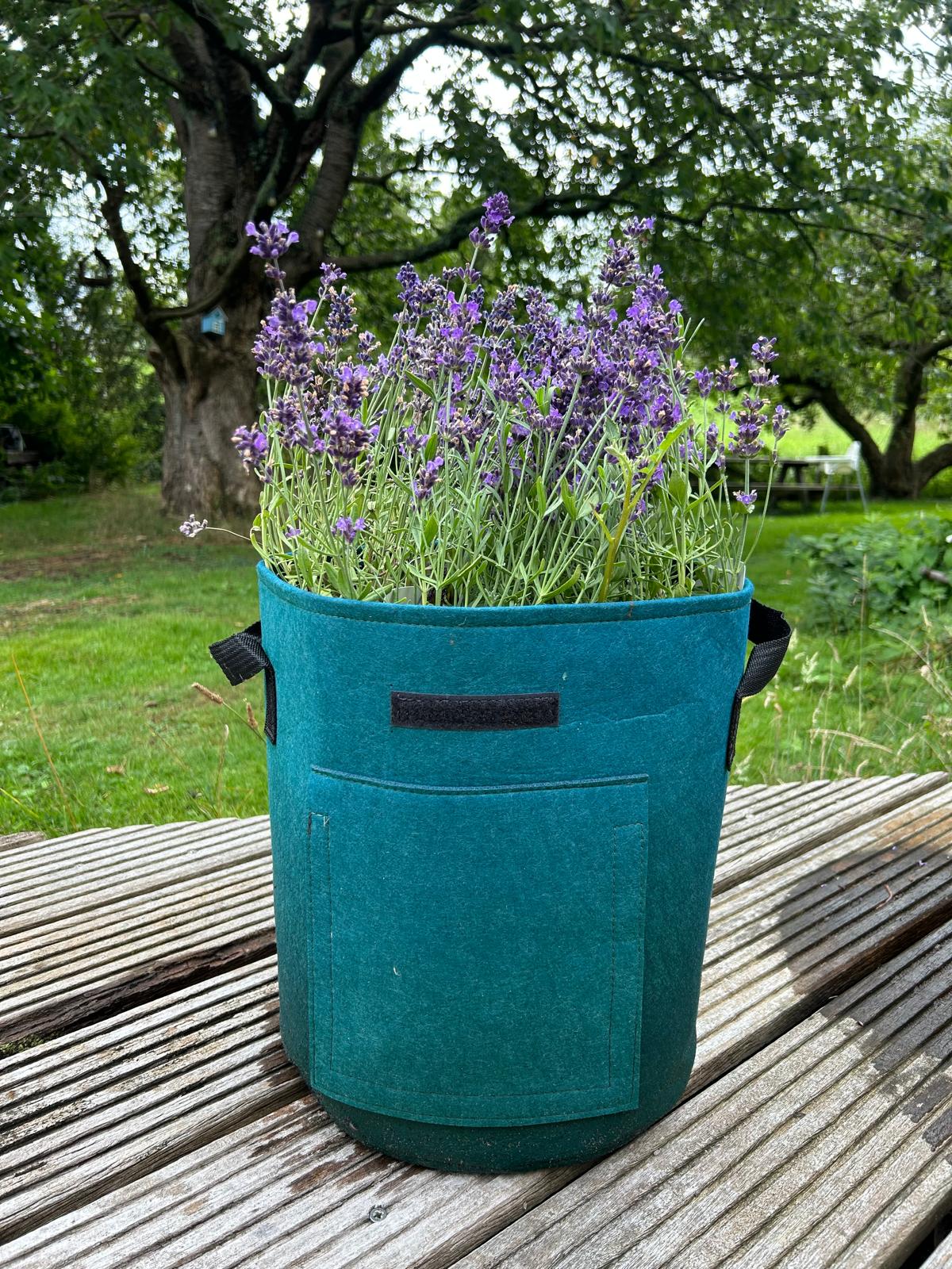 Feggies Pflanzbeutel Kräuter || 19 Liter