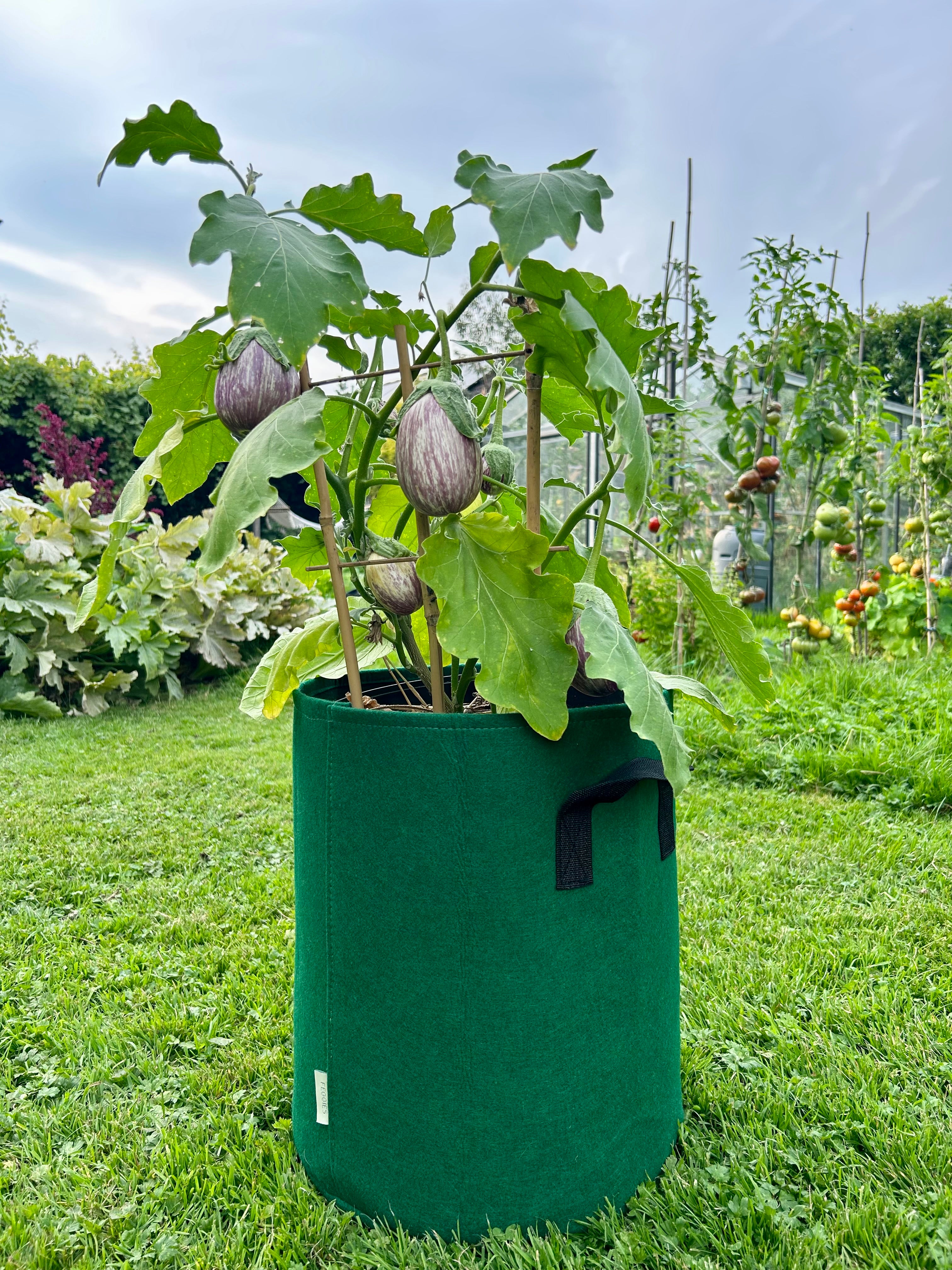 Feggies Grow Bags || 37 Liter