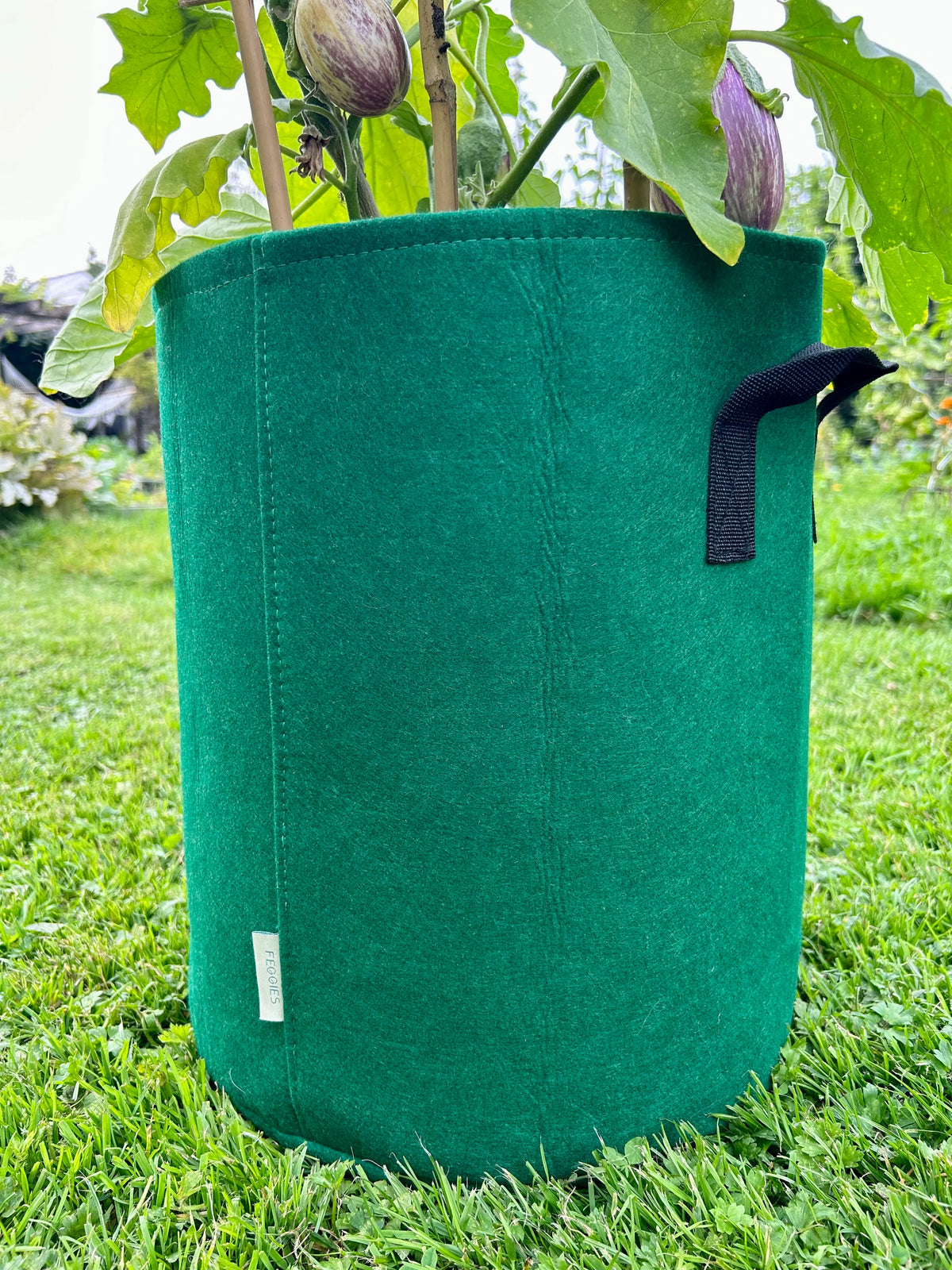 Feggies Grow Bag | 37 liter - Feggies
