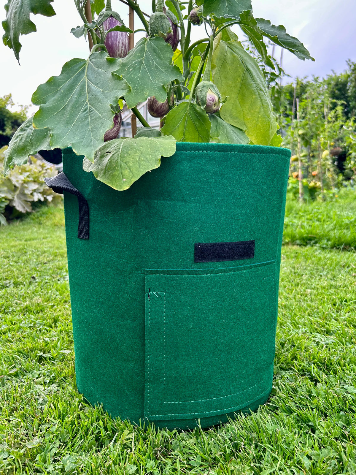 Feggies Grow Bag | 37 liter - Feggies
