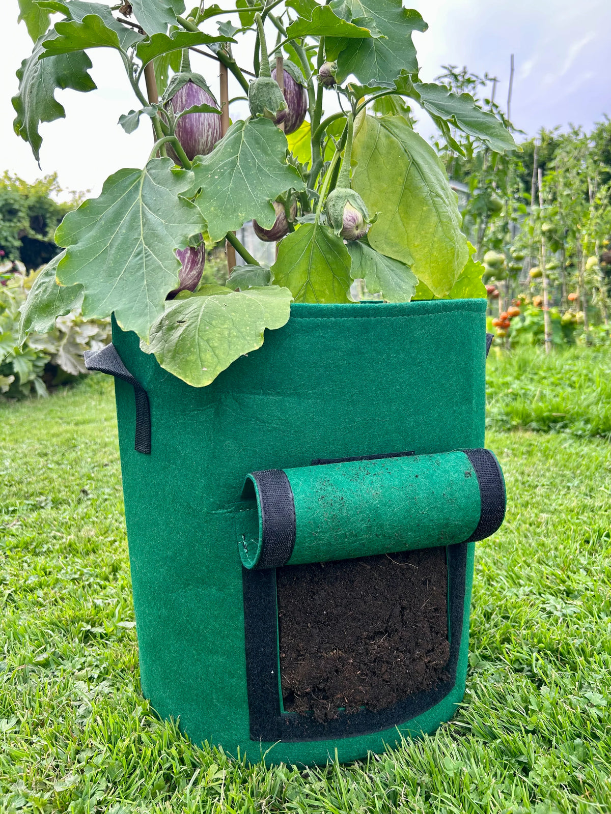 Feggies Grow Bag | 37 liter - Feggies