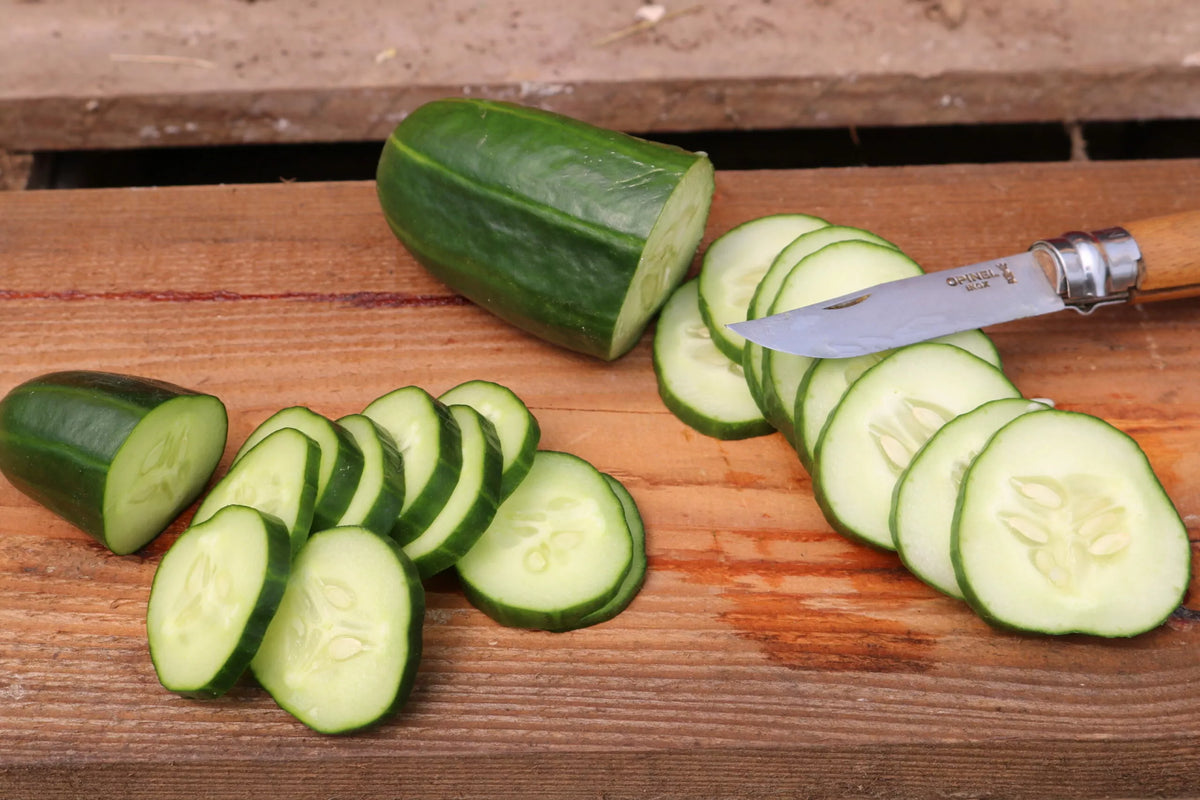 Komkommer ‘Antje’ (Cucumis sativus) – biologische zaden - Feggies