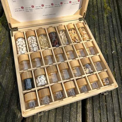 Feggies Samen-Aufbewahrungsbox PRO 