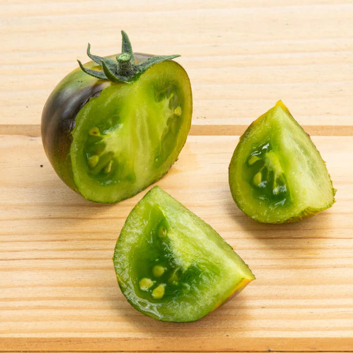 Indigo-Tomate Blue Green Zebra