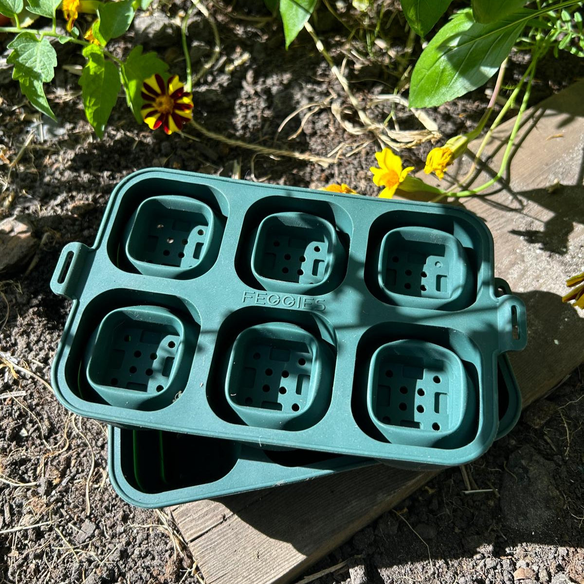 Feggies faltbare Anzuchtschale