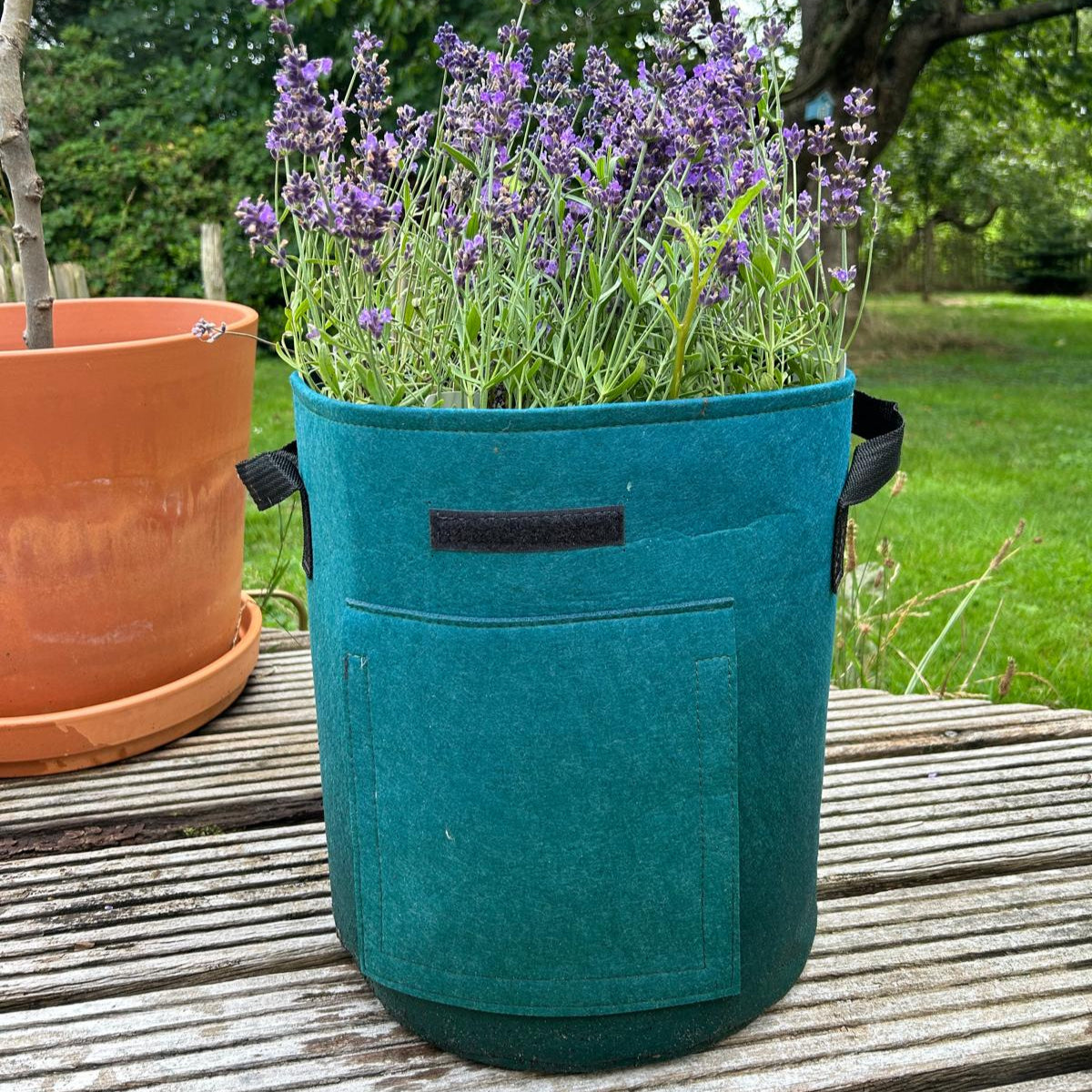 Feggies Grow Bags || 37 Liter