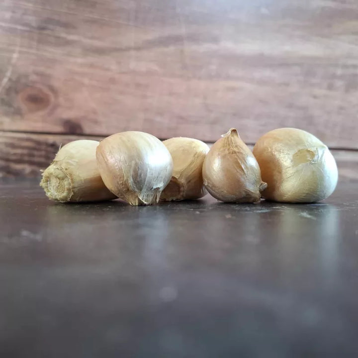 Herbstknoblauch Elefantenknoblauch Bio