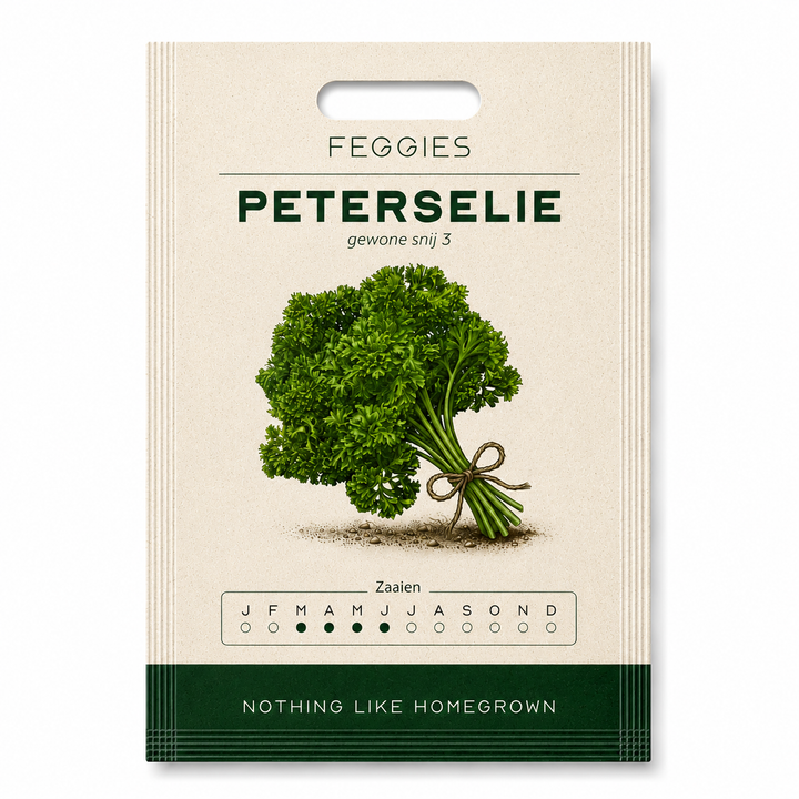Petersilie Gewone Snij 3 – Bio-Kräutersamen (Schnittpetersilie)