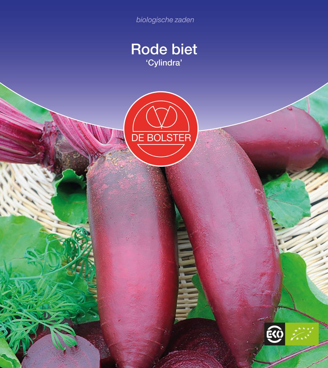 Rode biet 'Cylindra' Biologisch - Feggies