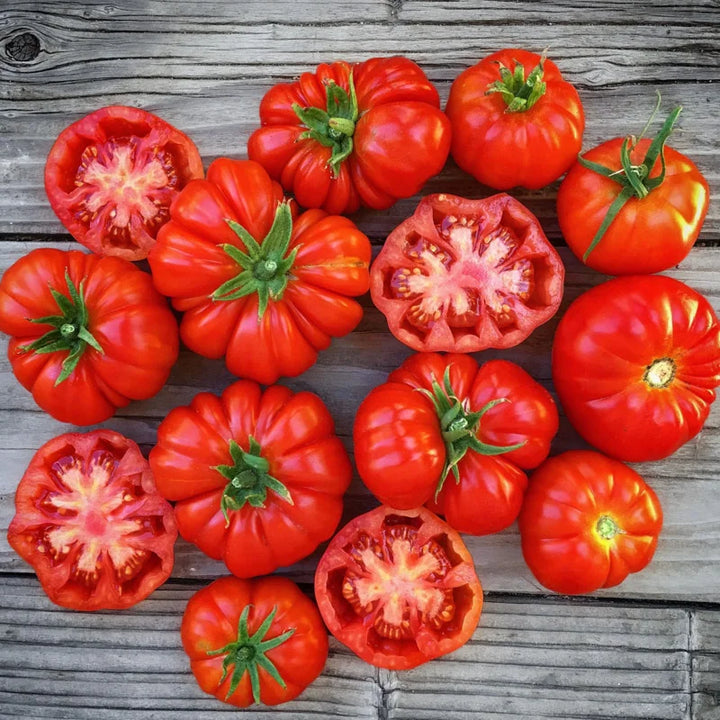 Tomate Rosso Sicilian