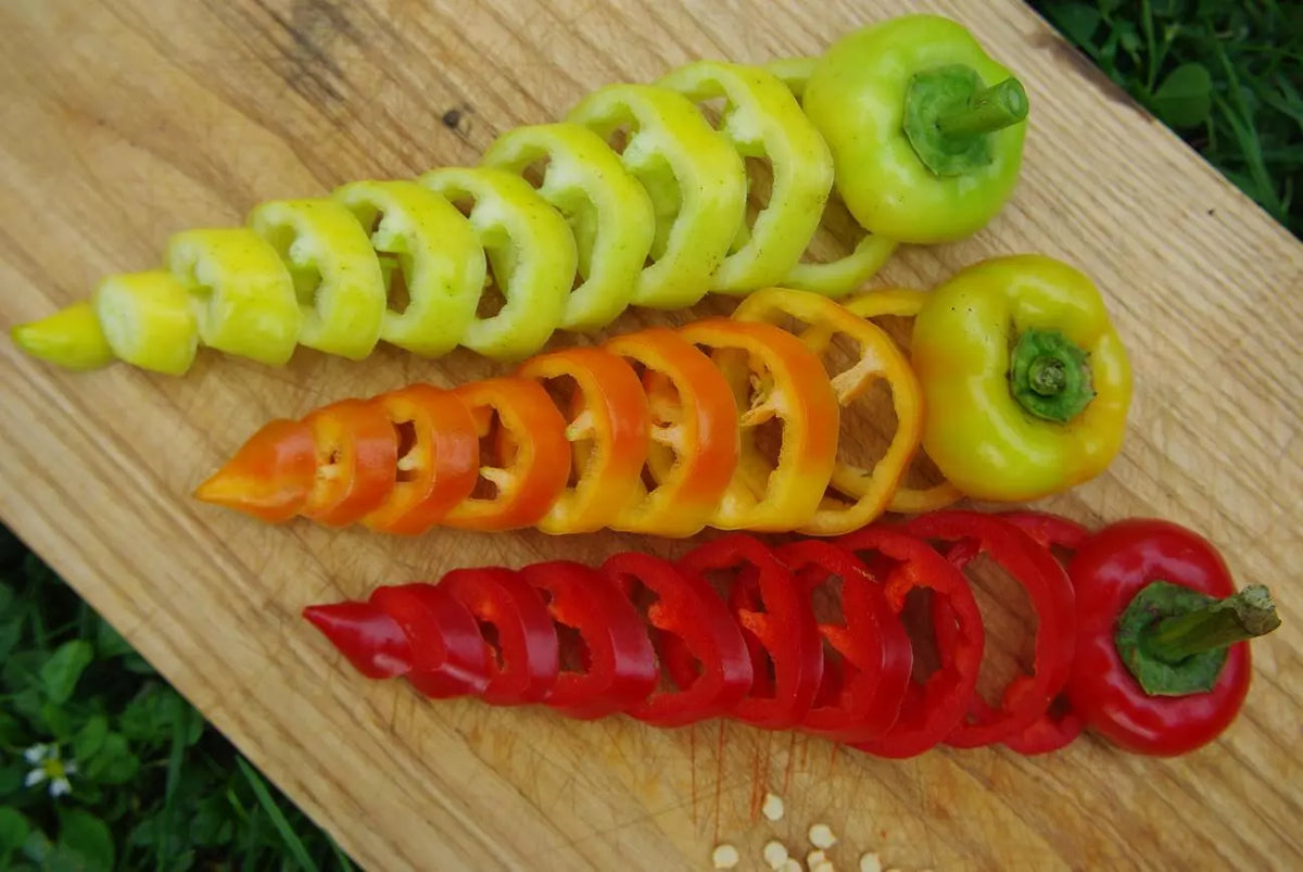 Paprika ‘Red Augsburger’ (Capsicum annuum) – biologische zaden - Feggies