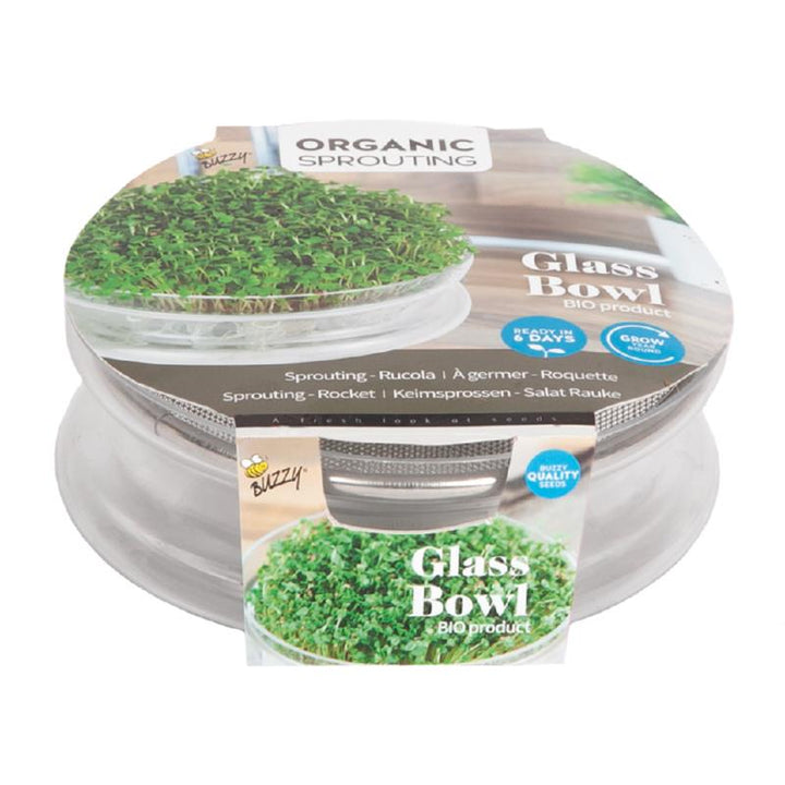Bio-Keimschale aus Glas mit Rucola