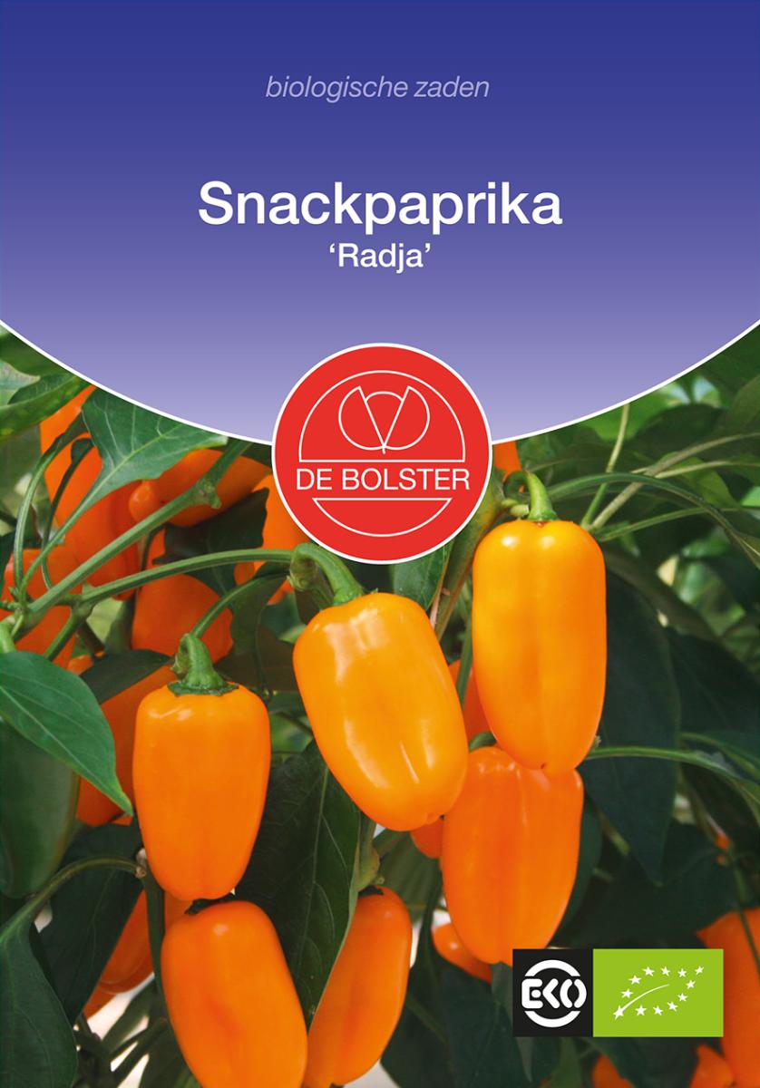 Snackpaprika 'Radja' Biologisch - Feggies