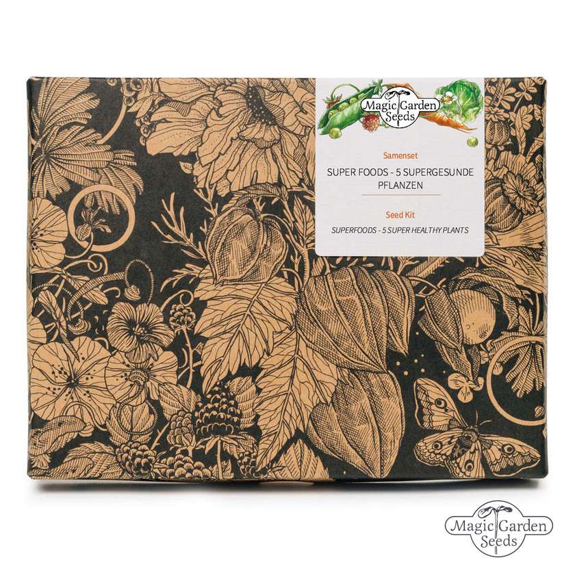 Superfoods – Samen-Geschenkbox