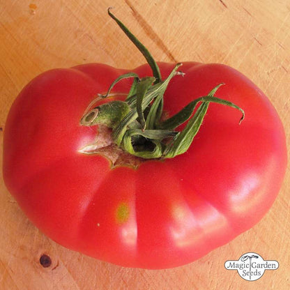 Tomatensamen Rose de Berne Bio 