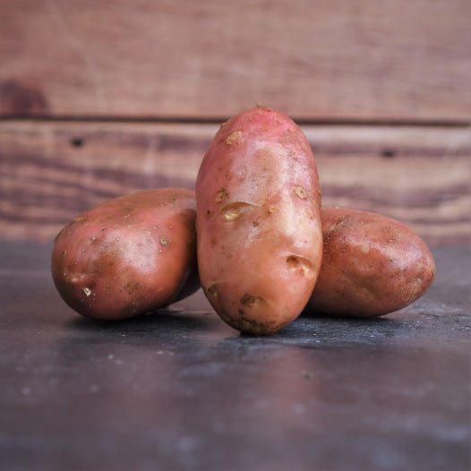 Kartoffel Désirée 1KG Bio