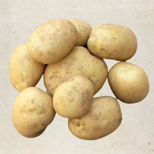 Kartoffel Etincelle 1 kg (halbfrühe Sorte) Bio