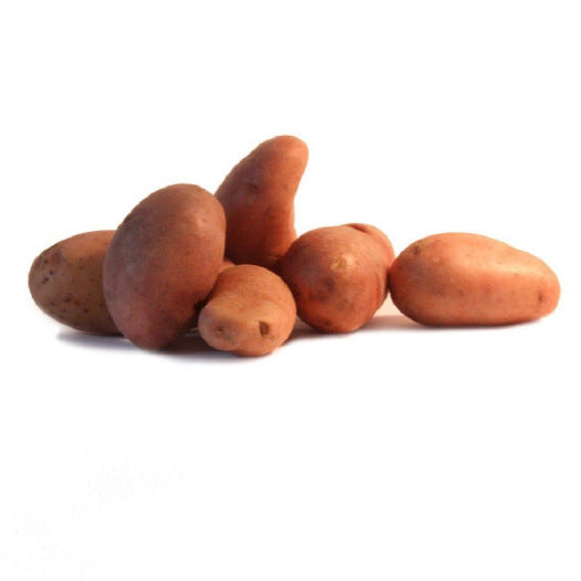 Kartoffel Jeannette 1KG Bio (frühe Sorte)
