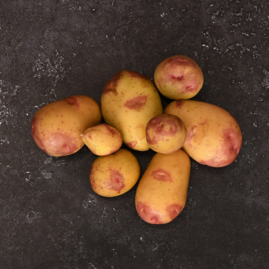 Potato King Edward 1KG Bio